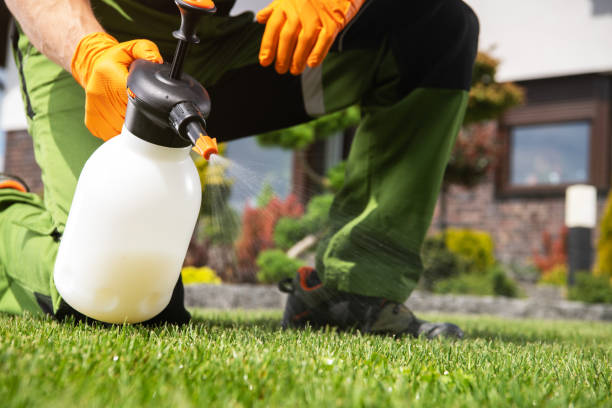 Best Wildlife Control Services  in Canon, GA