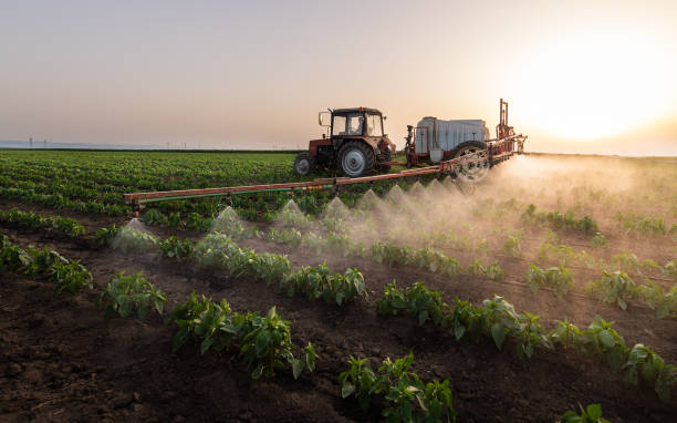 Best Commercial Pest Control Services  in Canon, GA