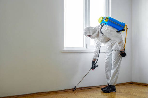 Canon, GA Pest Control Company