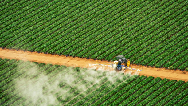 Best Best Pest Control Companies  in Canon, GA