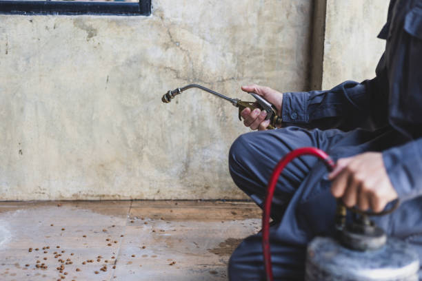 Best Pest Control for Homes  in Canon, GA